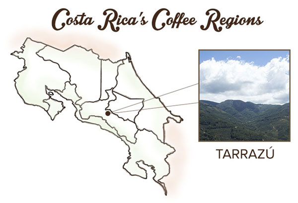 Кофе в зернах CUATTRO Costa-Rica (Коста-Рика) цена с доставкой по России